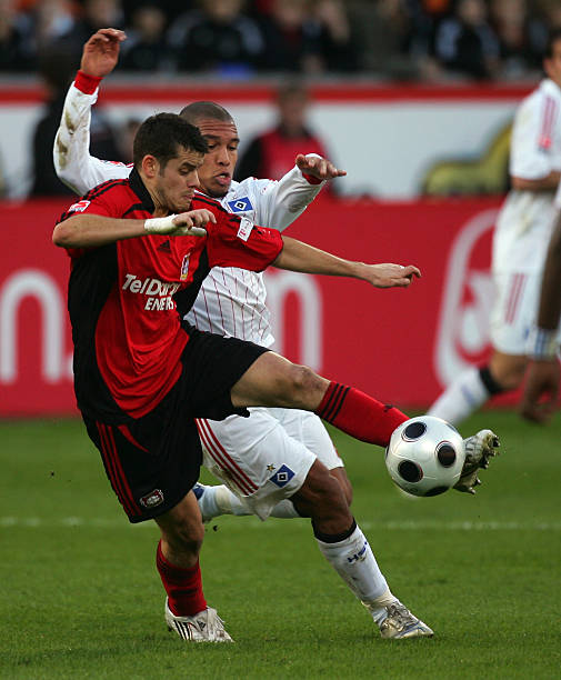 成成熟期的 成成熟期的